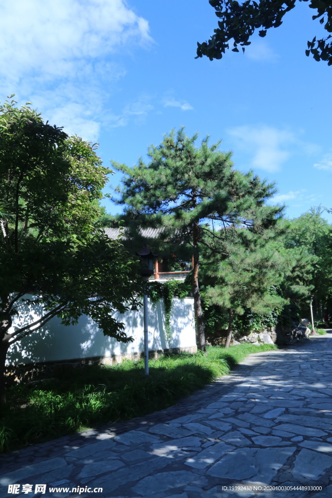 园林风景