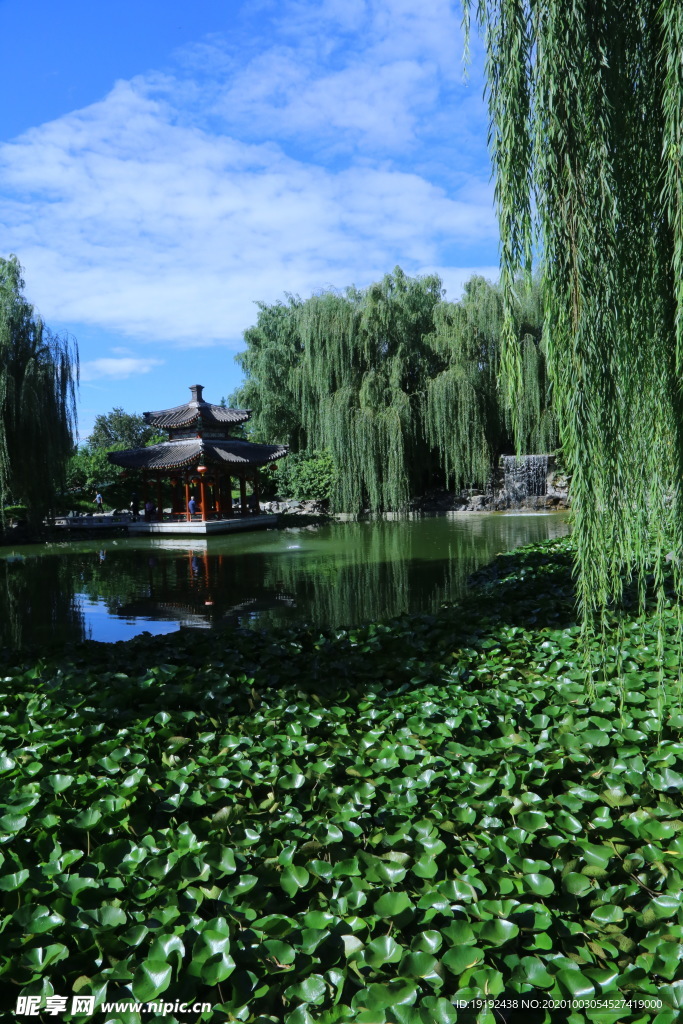 园林风景