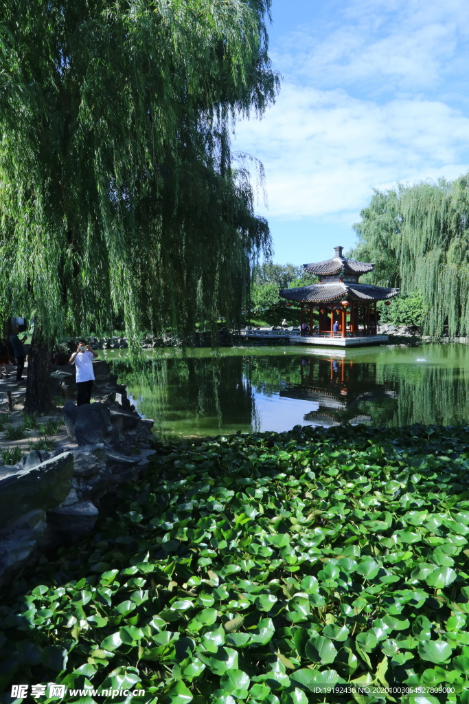 园林风景