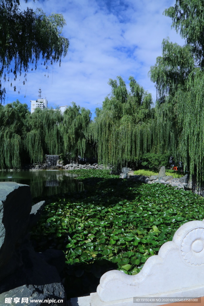园林风景