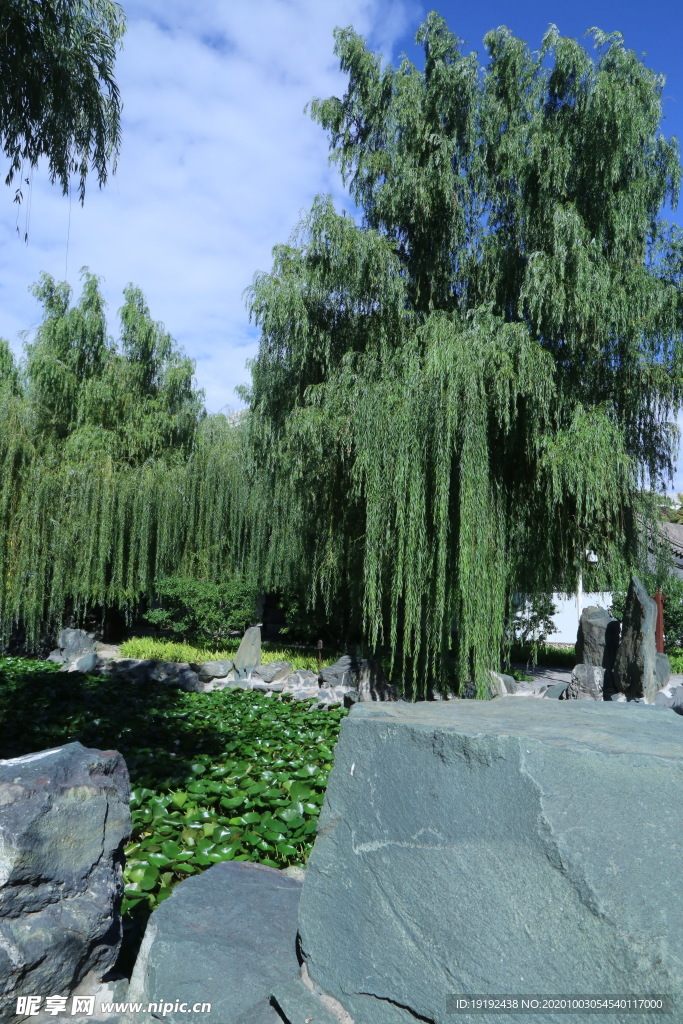 园林风景