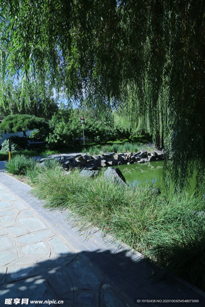 园林风景
