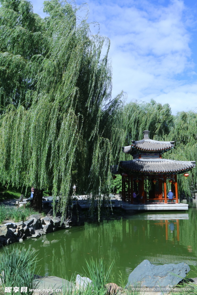 园林风景