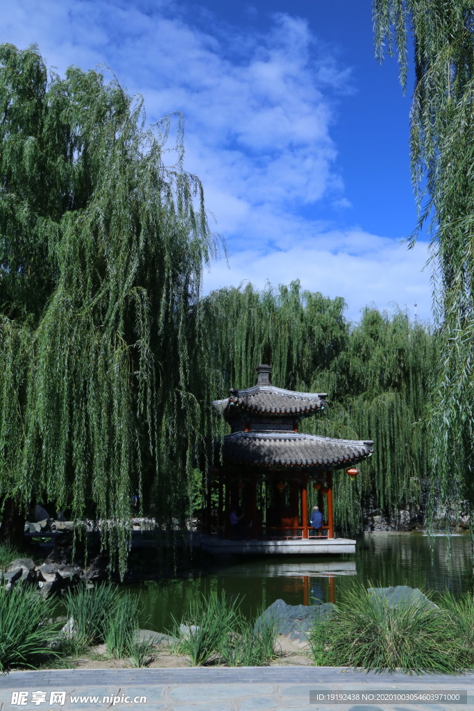 园林风景