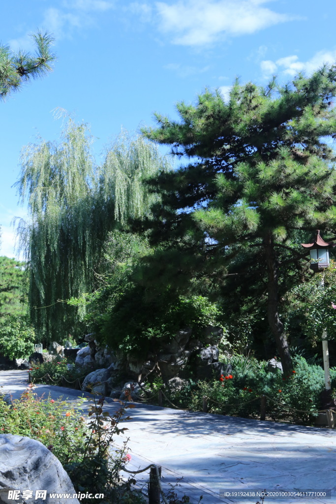 园林风景
