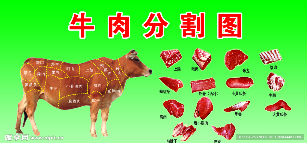 牛肉分割图