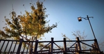 路灯 夕阳