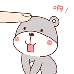 乖乖熊   小熊 熊 可爱小熊