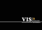 VI模板