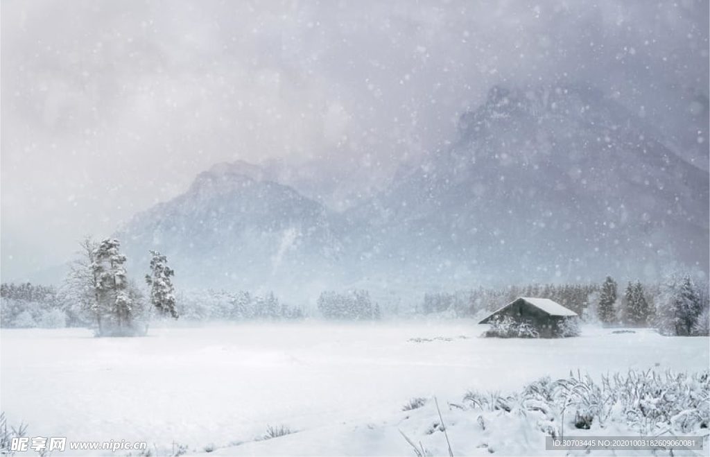 雪