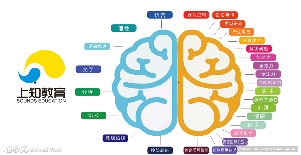 思维导图