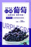 水果海报