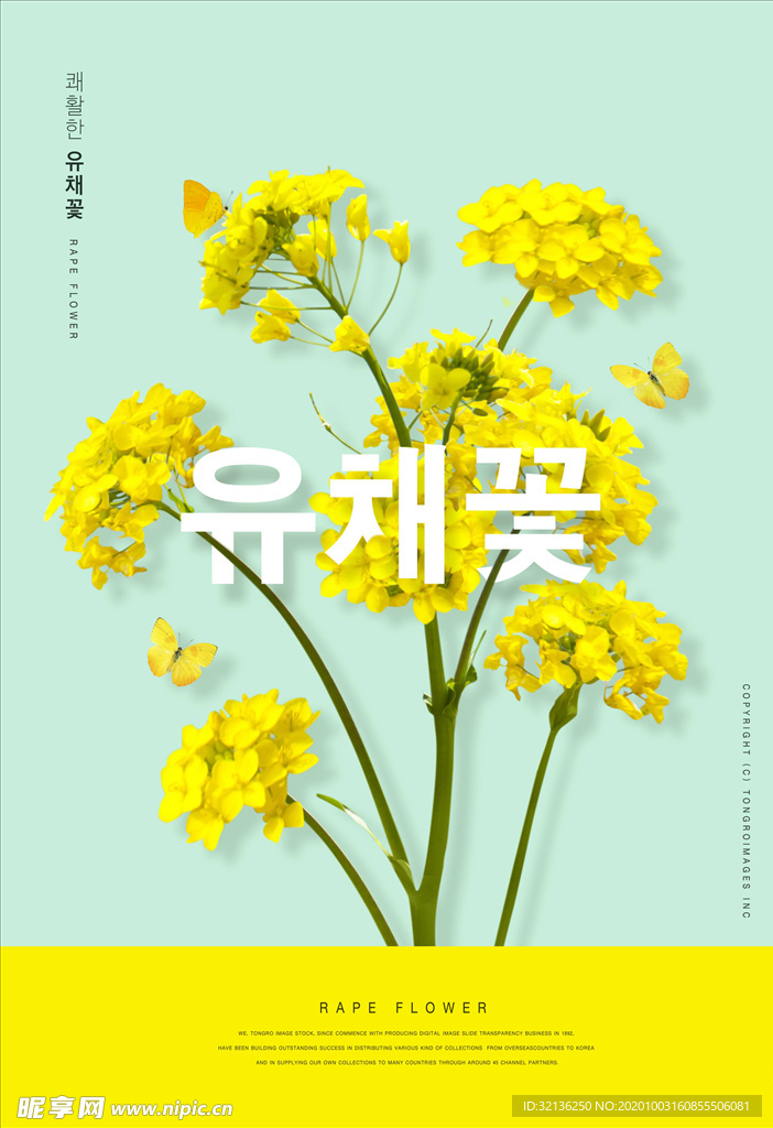鲜花海报