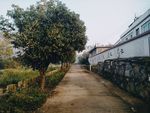 蔡家畈