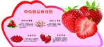 草莓的品种介绍