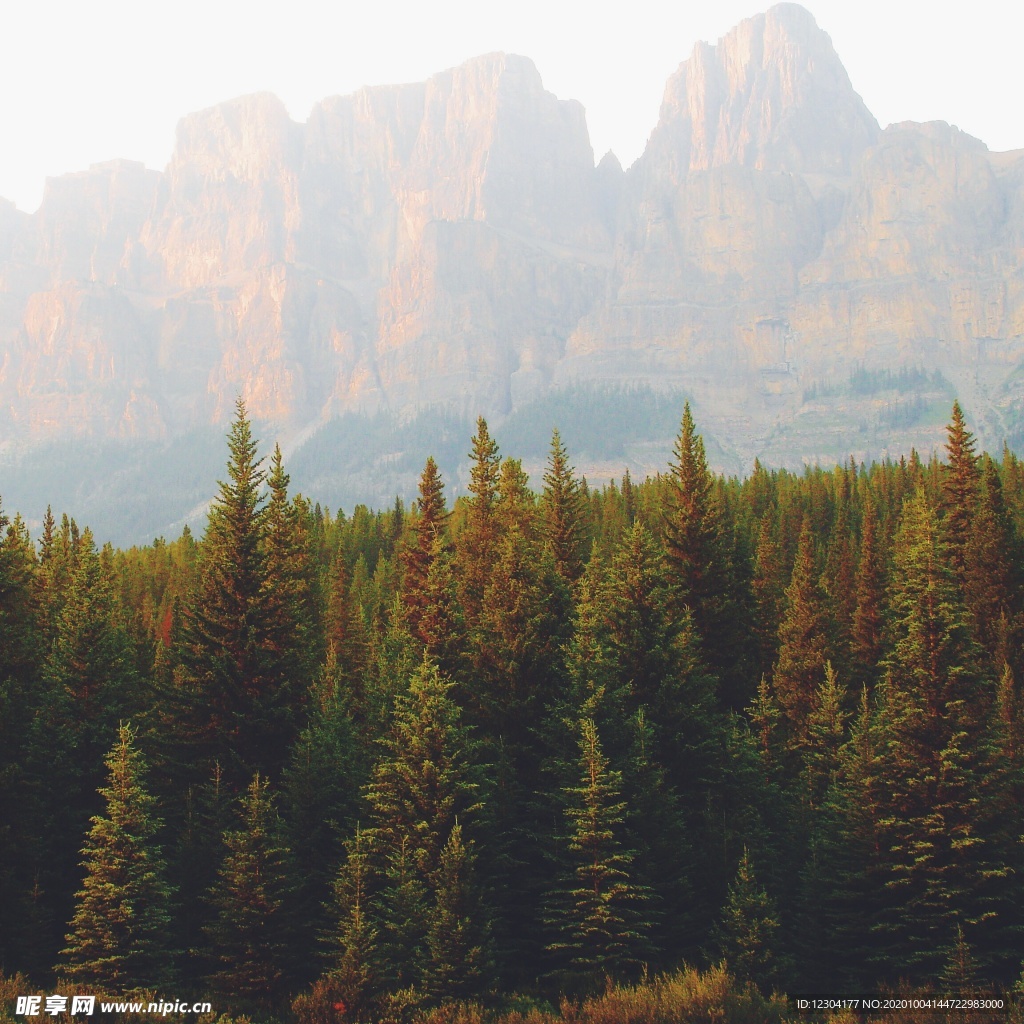 山