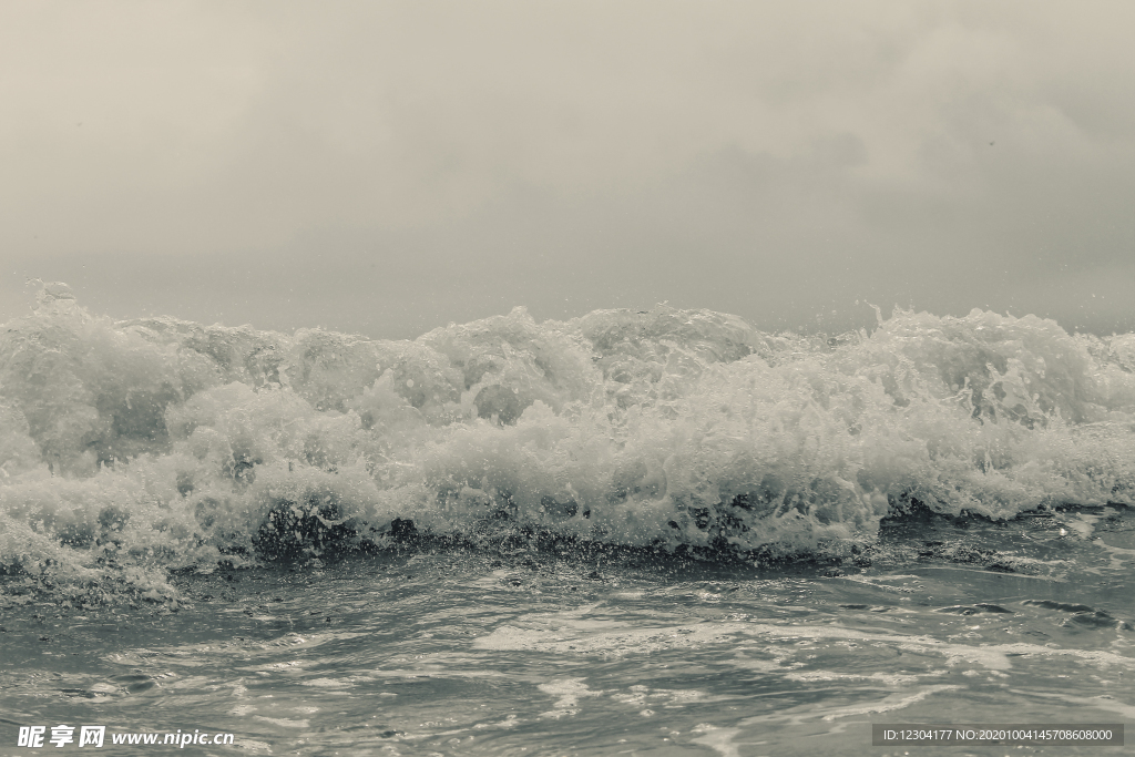 海