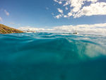 海