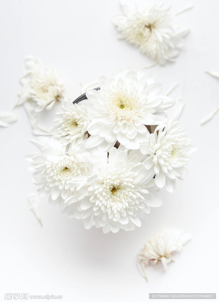 花卉