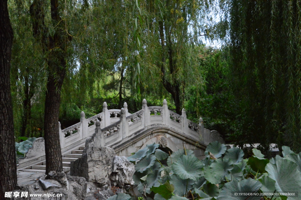 园林风景