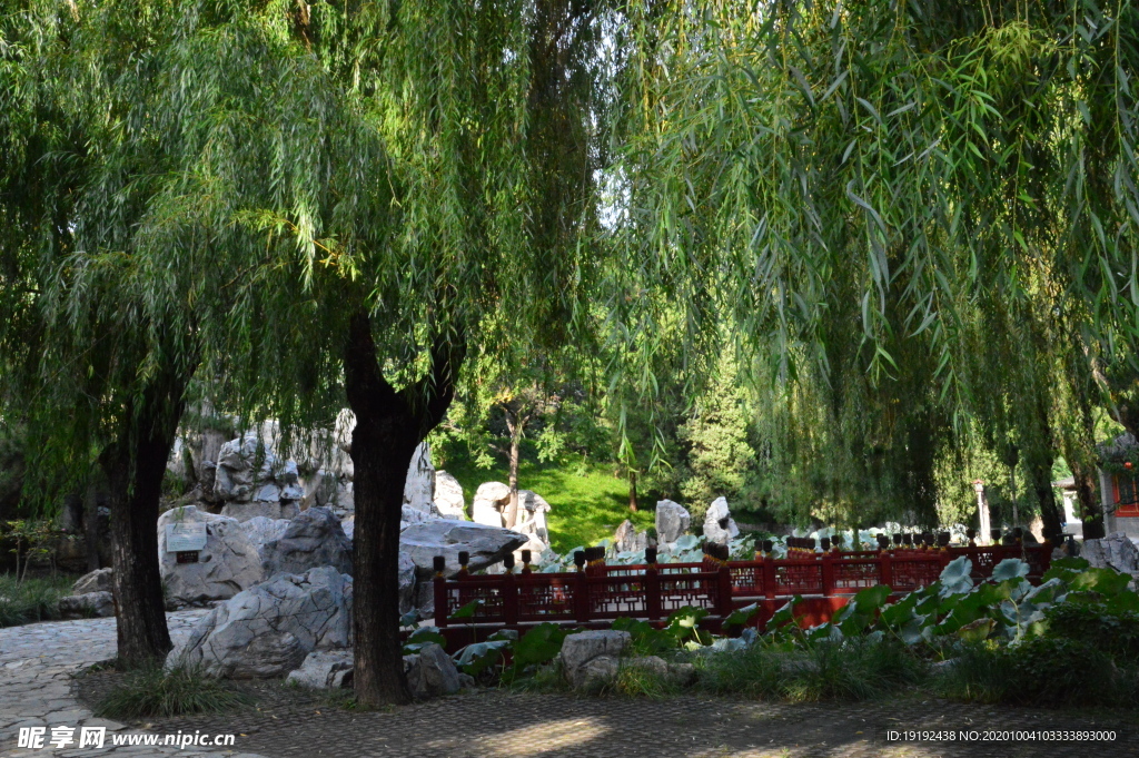 园林风景