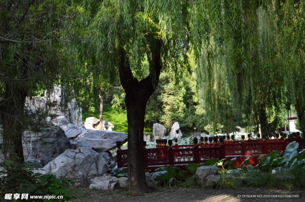园林风景