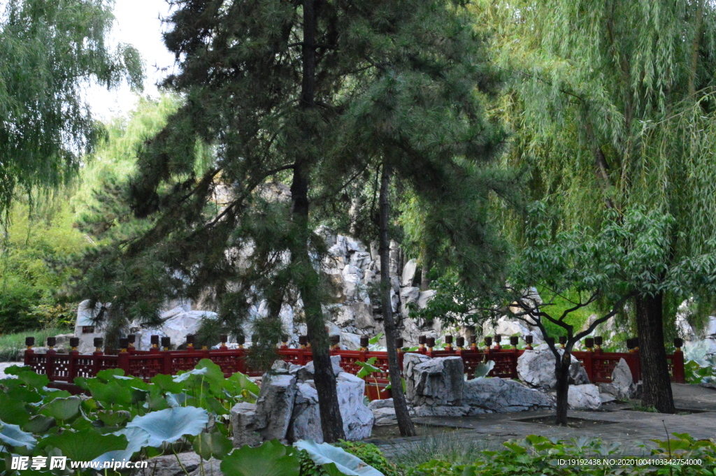 园林风景