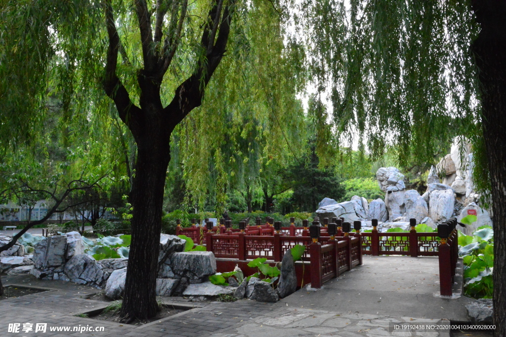 园林风景