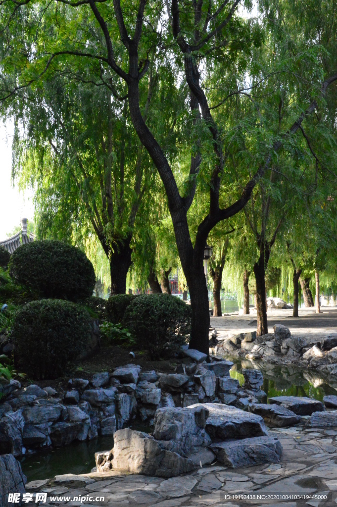 园林风景