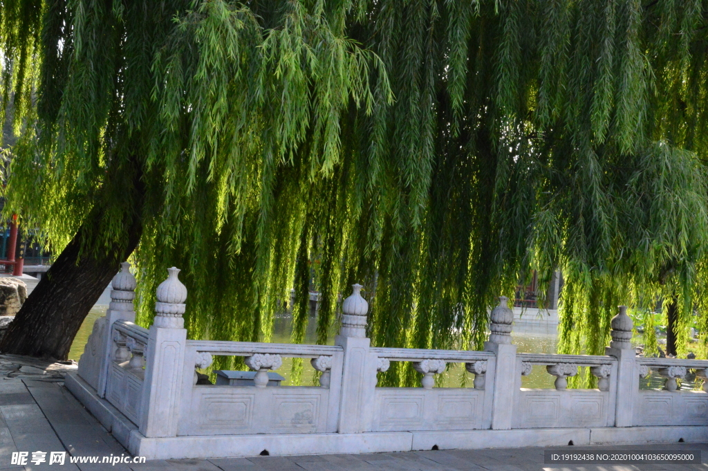 园林风景