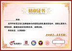 小橙子教育至正跆拳道结业证书