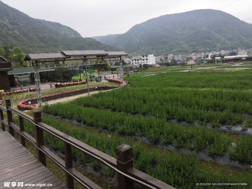 田园风光