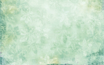 布纹