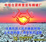 中塔合资