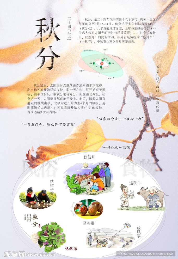 秋分