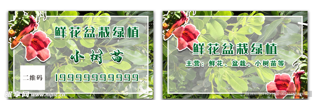 园艺盆栽鲜花绿植名片