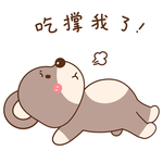 酷酷熊