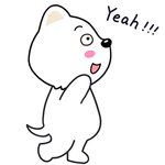 小猫