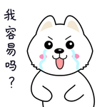 小猫