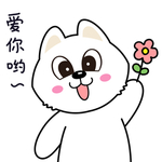 小猫