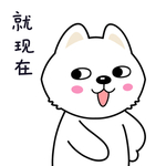 小猫