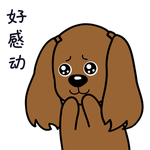 小狗