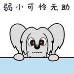 小狗