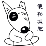 小狗