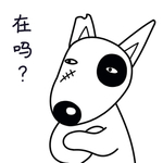 小狗