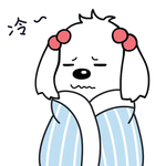 小狗