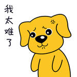 金毛