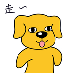 金毛
