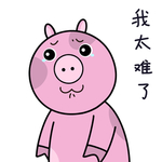 猪