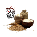 光盘行动素材